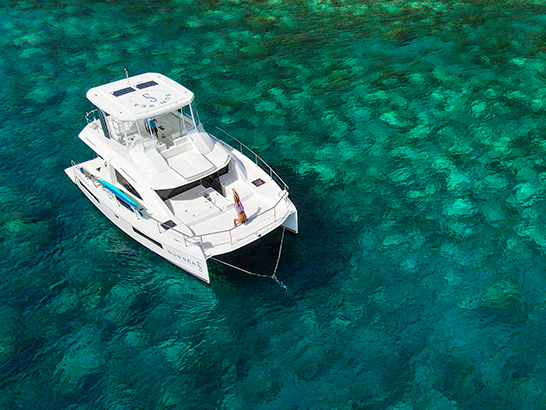 Dégustation Rhum - Catamaran - Calypso Croisières - Martinique - Réservez  vos meilleurs moments en ligne